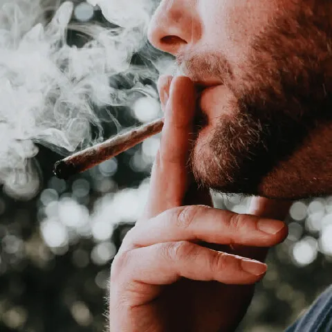 Quit Smoking